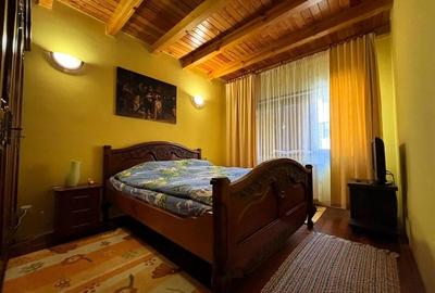 Vila Exclusivista Piatra Arsa Busteni - 6