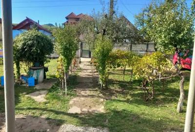 Casă în Urzica