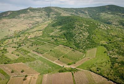 Teren agricol extravilan de 3654 mp, în Șiria - 3