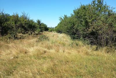 Spațiu comercial, în Ciocănești - 4