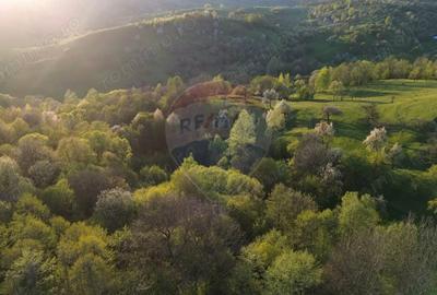 Teren de 15459 mp, în Bughea de Sus - 10
