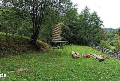 Spațiu comercial, în Bulz - 2