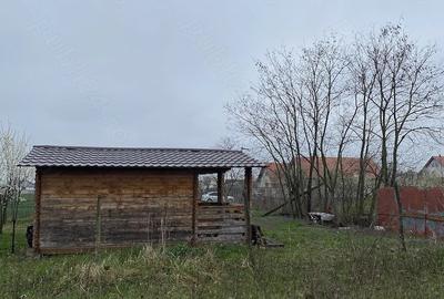 Teren de 5000 mp, în Lazuri - 3