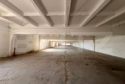 Spațiu industrial, de 1,729 mp, în Bucovăț