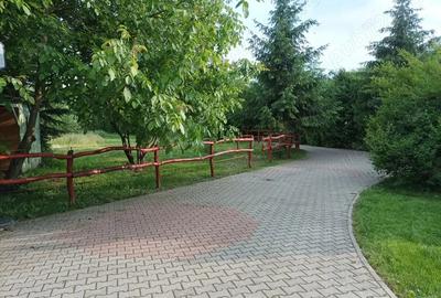 Casă cu 4 camere în Brădești