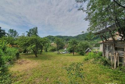 Teren de 2600 mp, în Râu Alb de Sus