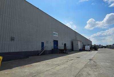 Spațiu industrial, de 940 mp, în Theodor Pallady