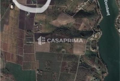 Teren Construcții extravilan de 3000 mp, în Șorogari - 2