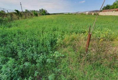 Teren de 1000 mp, în Războieni - 6