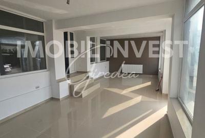 Spațiu comercial, de 118 mp, în Pianu - 2