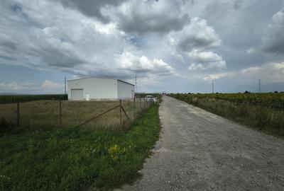 Teren Construcții intravilan de 6300 mp, în Ozun - 5