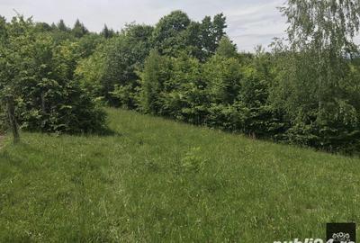 Teren de 14600 mp, în Albești