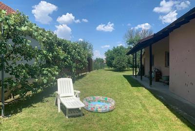 Casă cu 3 camere cu Teren 722 Mp în Surducu Mare - 8
