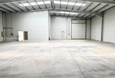 Spațiu industrial, de 572 mp, în Chiajna - 3