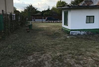 Spațiu comercial, în Balotești - 5