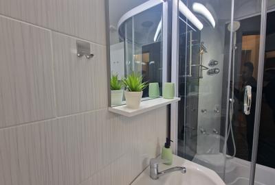 Apartament cu 2 camere semidecomandat în Podu Roș - 14