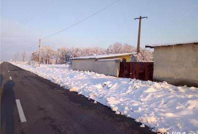 Teren de 5000 mp, în Bucovăț - 6