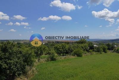 Teren Construcții intravilan de 5654 mp, în Dragomirești - 14