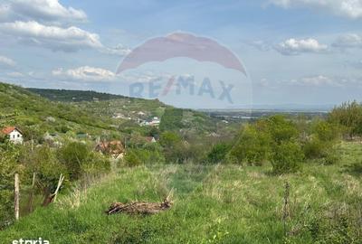 Teren de 1661 mp, în Podgoria
