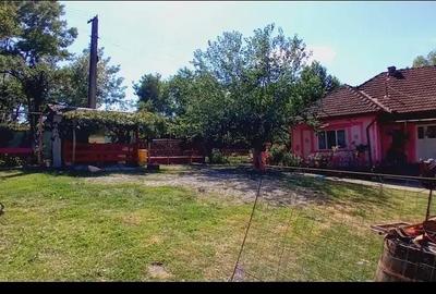 Casă cu 2 camere în Ariniș