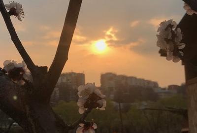 Teren Construcții intravilan de 1043 mp, în Tătărași - 2