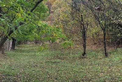 Casă în Drăgăneasa - 2