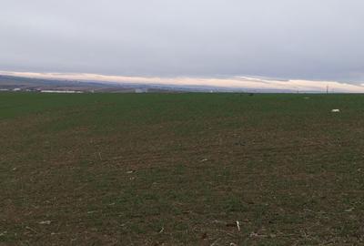 Teren agricol intravilan în Periferie - 8