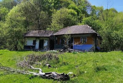 Teren de 7795 mp, în Opătești - 3