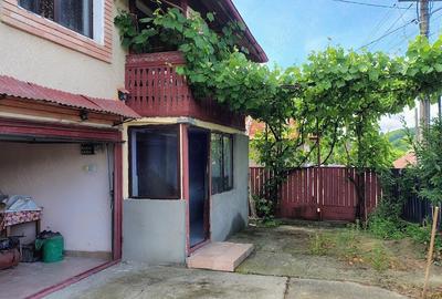 Casă cu Teren 850 Mp în Gușoianca - 4