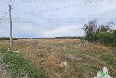 Teren agricol intravilan de 3000 mp, în Brănești - 3