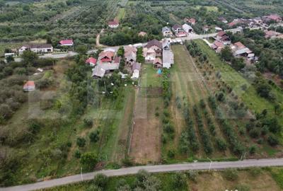 Casă cu 4 camere cu Teren 2360 Mp în Central - 18