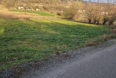 Teren de 1400 mp, în Mociu - 2