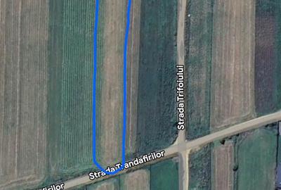 Teren de 2890 mp, în Gilău - 1