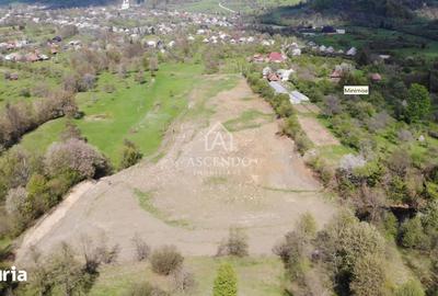 Teren de 19356 mp, în Ocna Șugatag