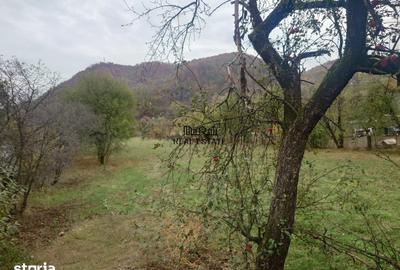 Teren de 2444 mp, în Criș