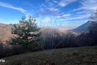 Spațiu comercial, în Schei - 10
