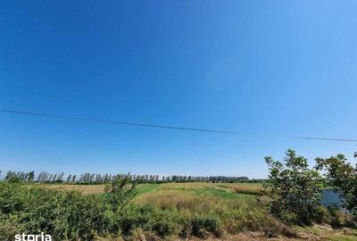 Teren de 9400 mp, în Gruiu - 4