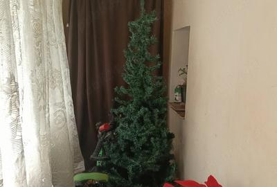 Garsonieră decomandată în Bucium