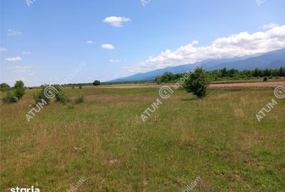 Teren de 5000 mp, în Avrig