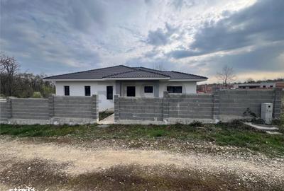 Casă cu 4 camere în Săldăbagiu de Munte - 14