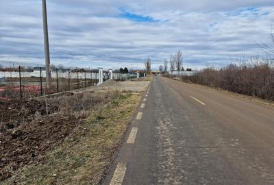 Teren Construcții intravilan de 12800 mp, în Ciolpani - 1