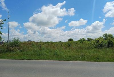 Teren de 3750 mp, în Brănești
