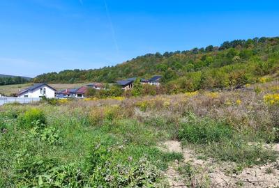 Teren Construcții intravilan de 650 mp, în Corunca - 2