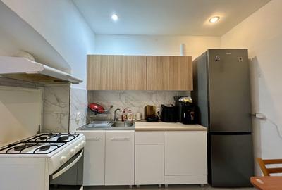 Apartament cu 2 camere semidecomandat, mobilat în Iosefin - 6