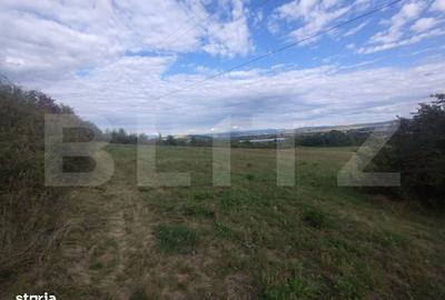 Spațiu comercial, în Central - 2