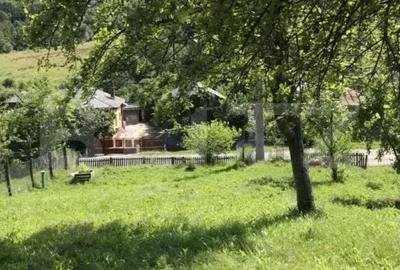 Teren de 1000 mp, în Băbana