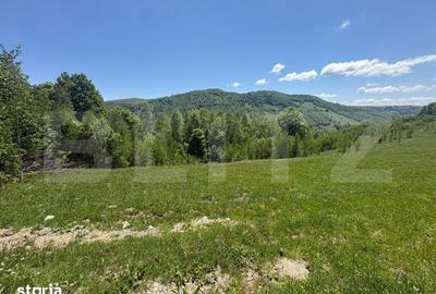 Teren de 1000 mp, în Băișoara - 2