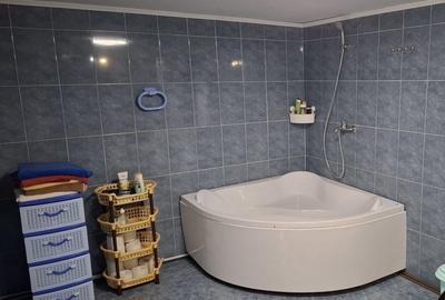 Casă cu 4 camere în Borlovenii Noi - 8