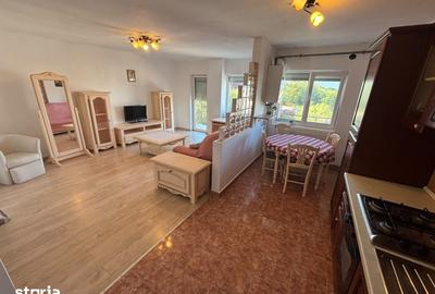 Apartament cu 2 camere semidecomandat în Tilișca - 1