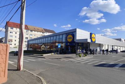 Garsonieră în Șelimbăr